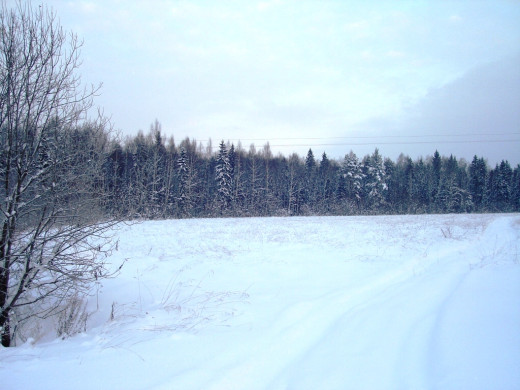 23692 (a): :1024x768